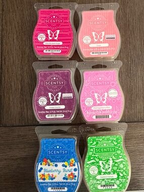 Scentsy Wax Bars Lot of 6 Retired BBMB Fruity Sweet Grape Sugar Blueberry